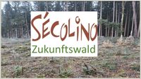 Secolino Zukunftswald