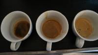 Secolino Barista Tasting